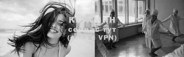 mdpv Крымск